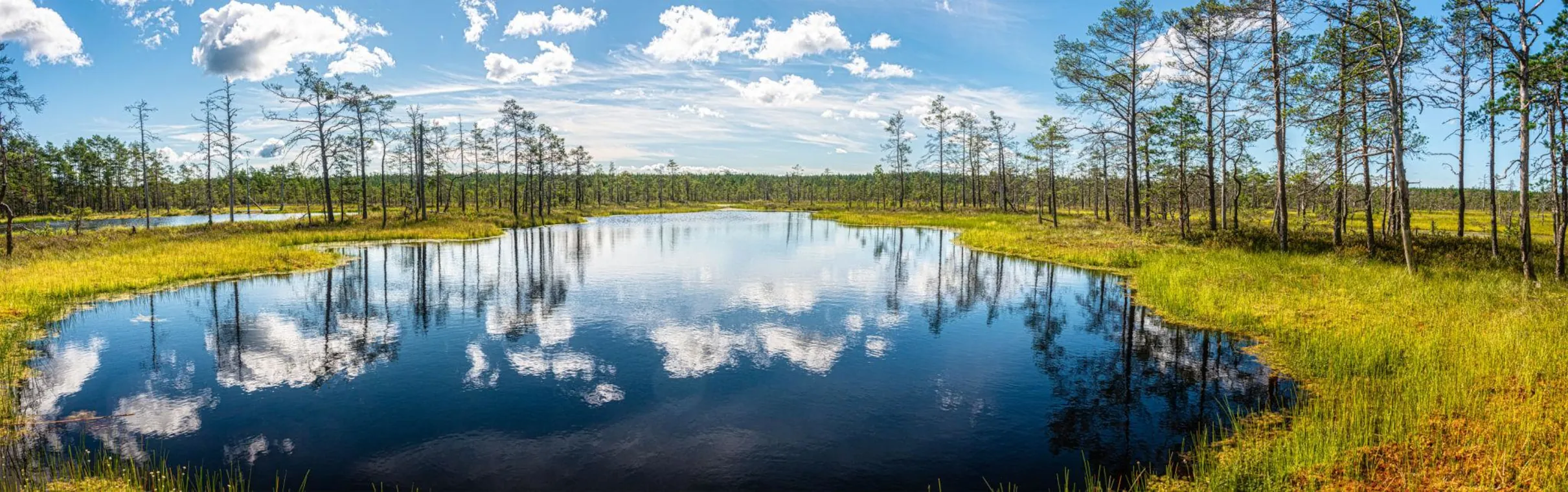Parque Nacional de Lahemaa
